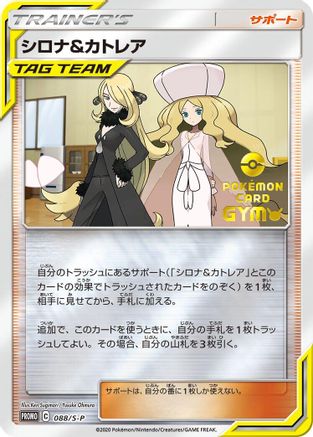 Cynthia & Caitlin - 088/S-P (088/S-P) [JP SP Sword  Shield Promos] Holofoil