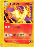Rapidash - 011/P (011/P) [JP P Promotional cards]