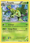 Sceptile 008 [Plasma Freeze]  - Holofoil